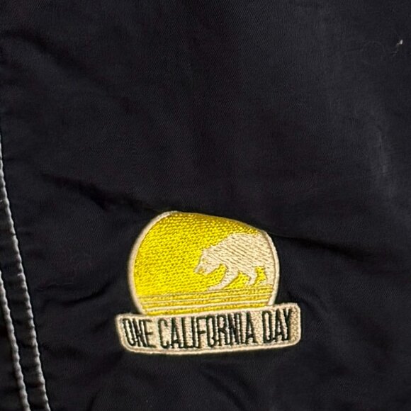 Toes On The Nose One California Day Edition Nylon Surfer Board Shorts Size 36 - Picture 3 of 8